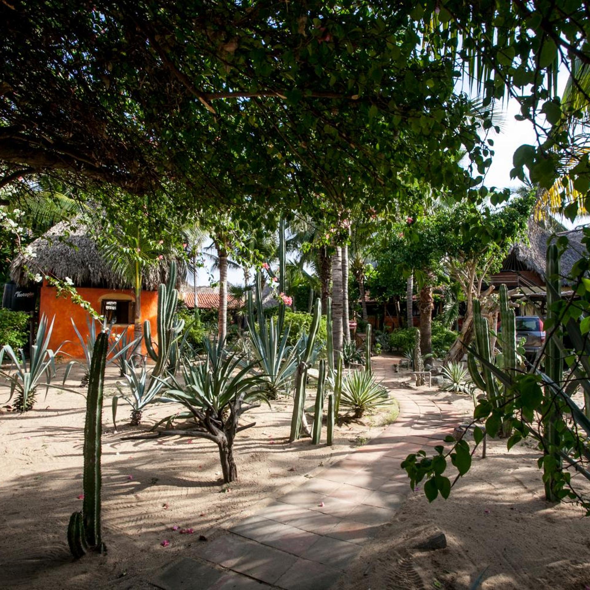 Posada Mexico 30/45