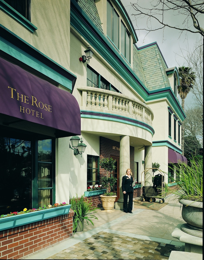 The Rose Hotel 3/53