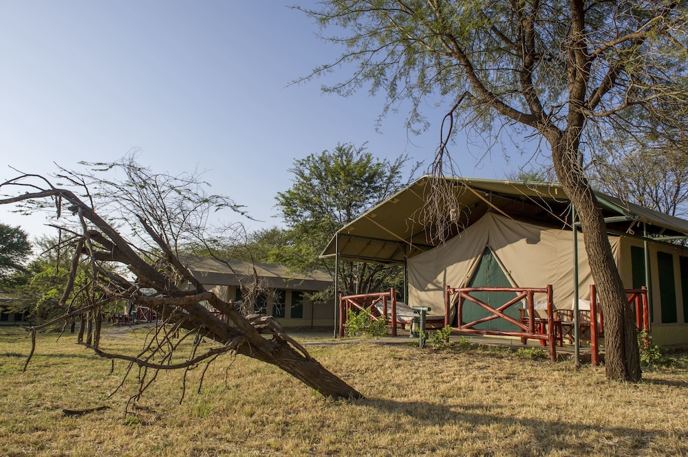 Mbuzi Mawe Serena Camp 43/60