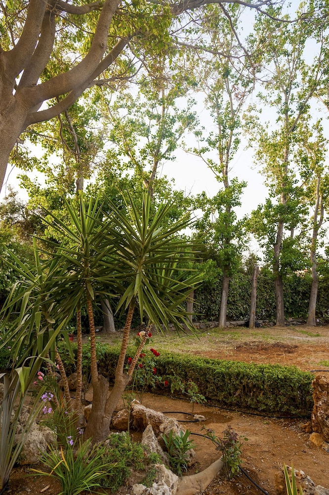 Porto Platanias Village Resort 69/73