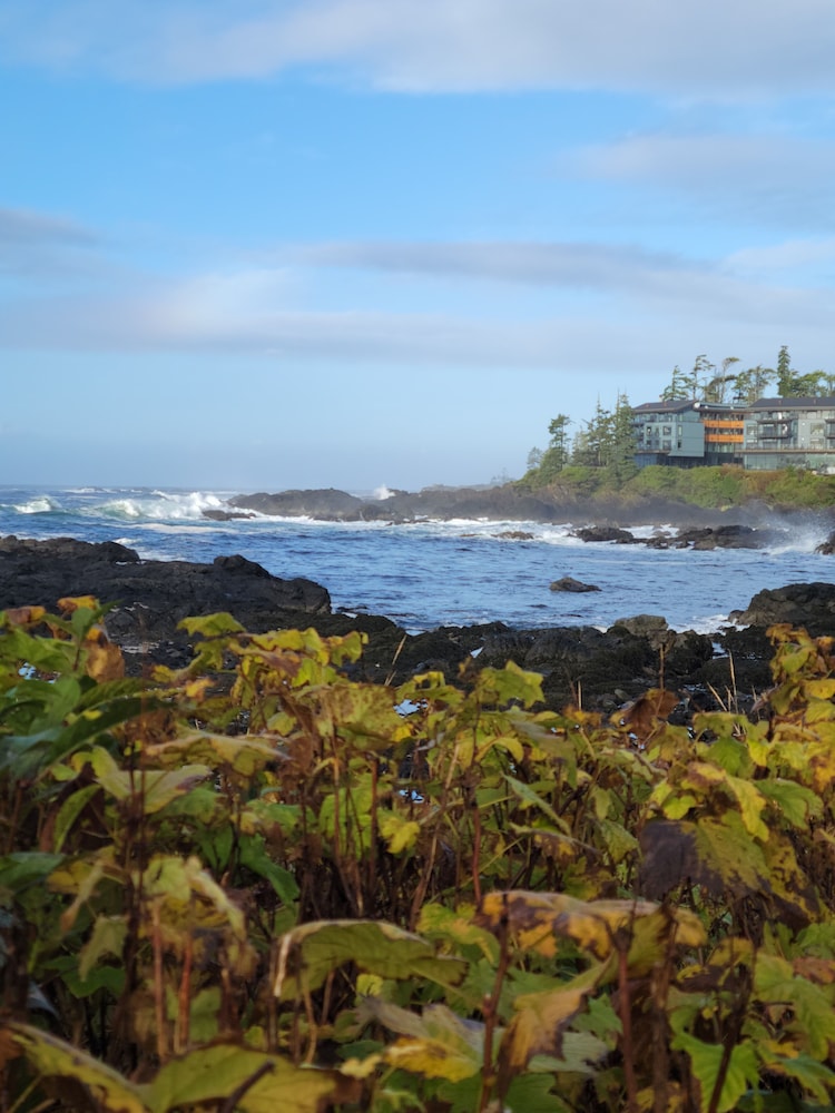 Black Rock Ocean Front Resort 59/69