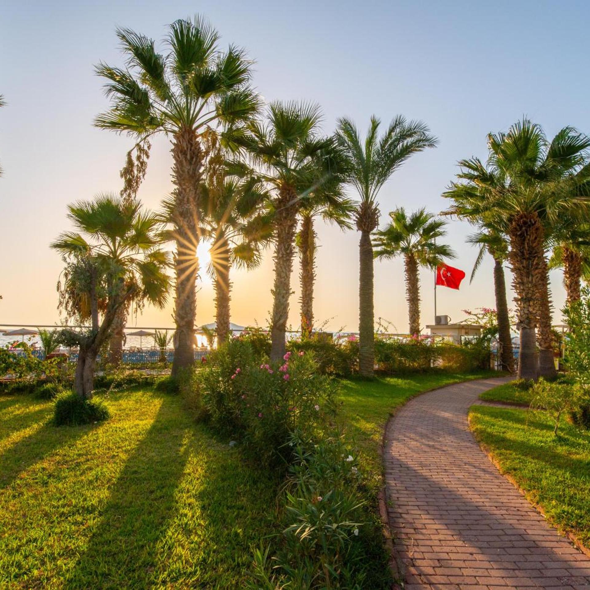 Sunset Beach Resort Aqua Lettings 40/50