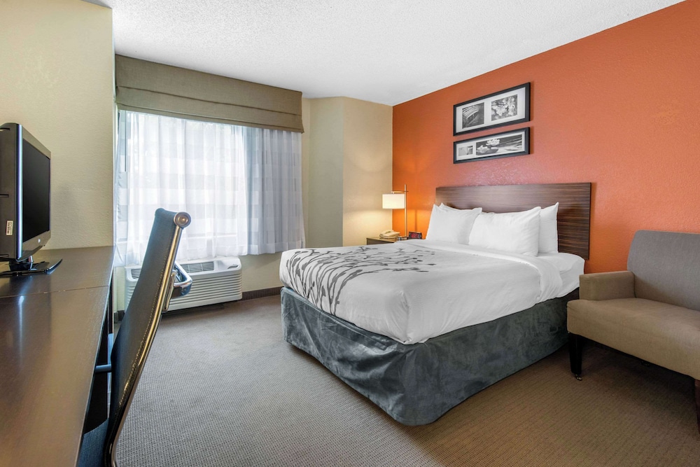 ROOM, DOUBLE BED, ACCESSIBLE
