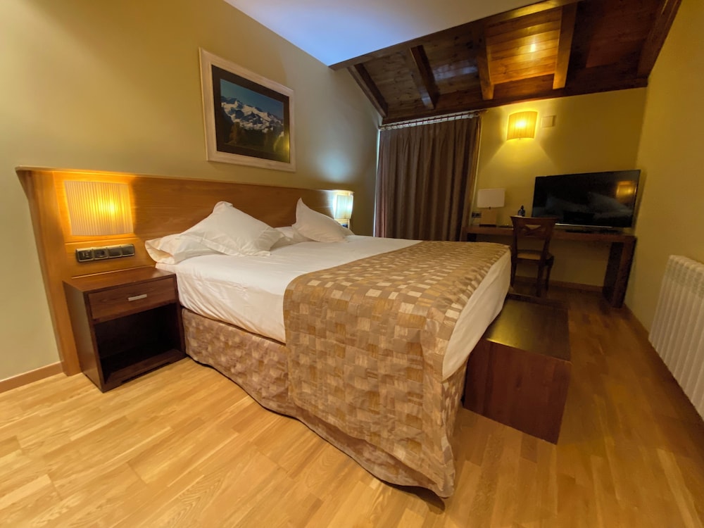 Hotel Pena 12/50