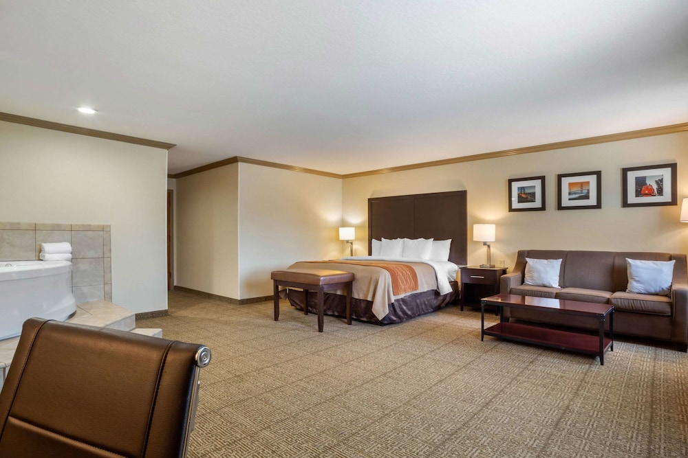 Comfort Inn Castro Valley CA 31/39