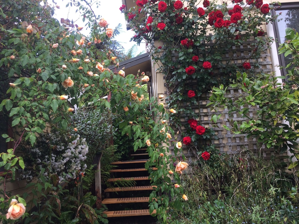 WAITOMO CAVES GUEST LODGE 67/73
