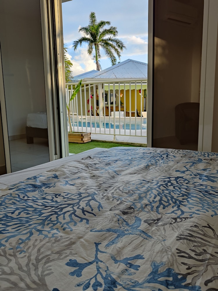 Majesty Palm 38/46