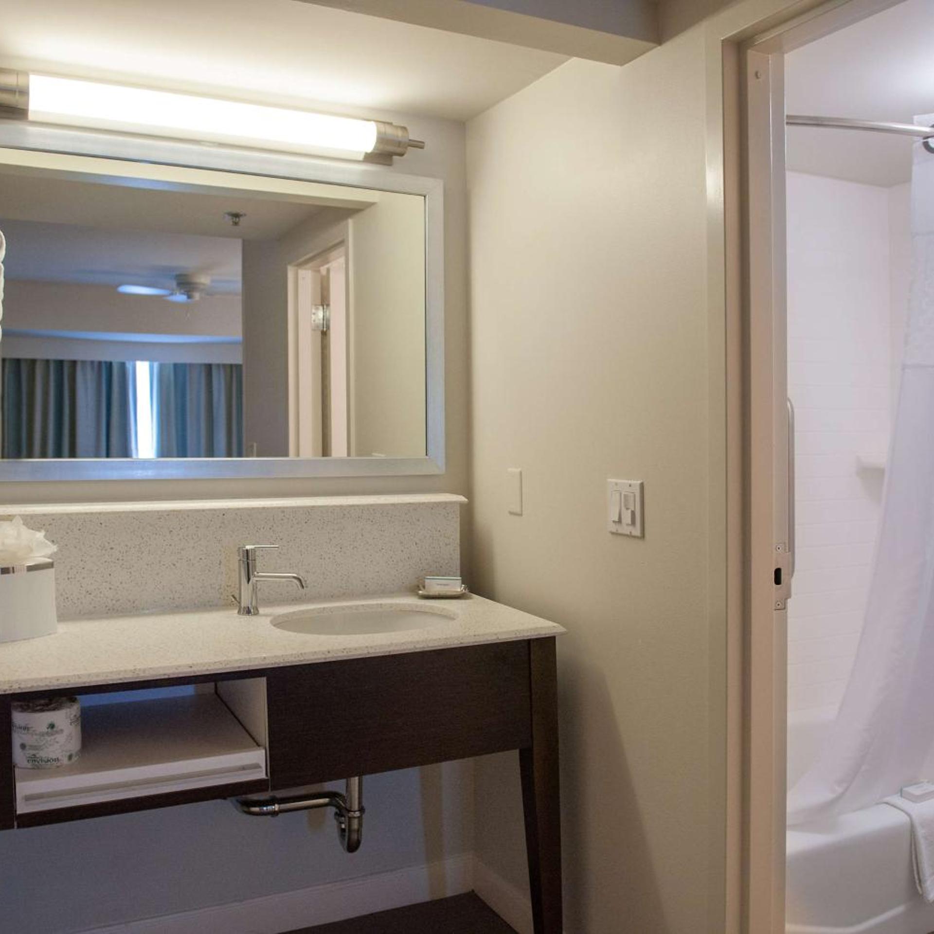 جناح بسرير كينج بغرفة نوم واحدة مع أريكة، Hampton Inn & Suites New Orleans-Elmwood/Clearview Parkway Area 4/4