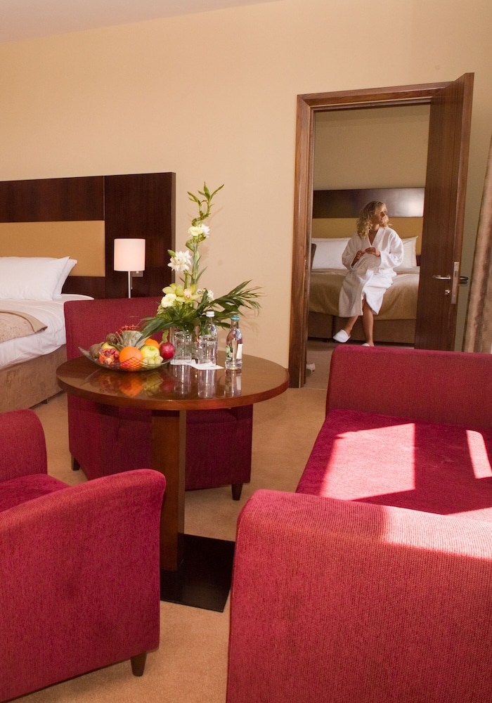 Trim Castle Hotel 19/57