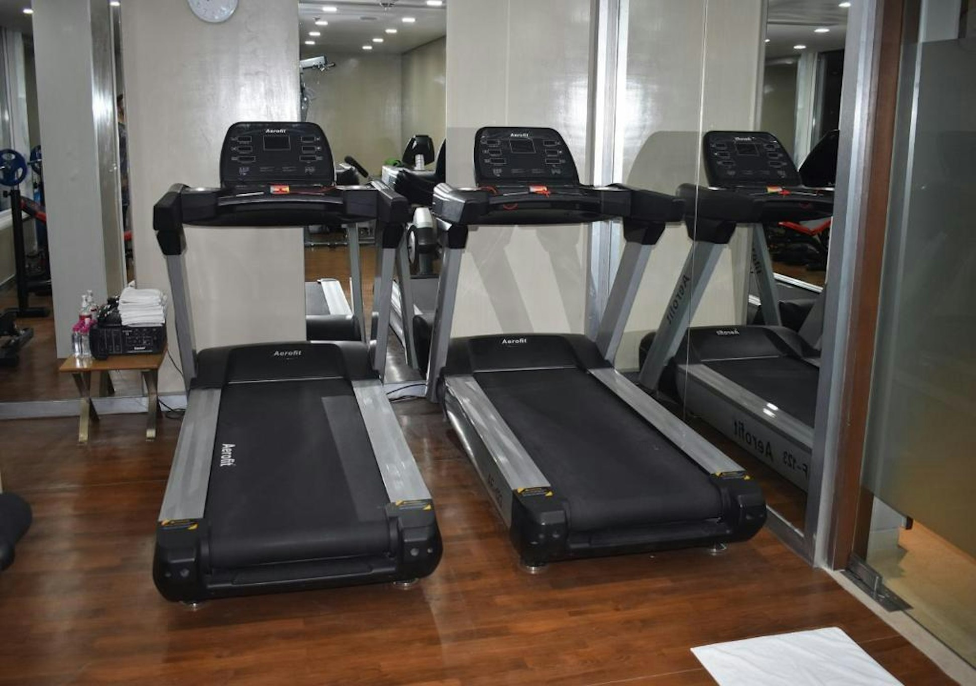 Sayaji Hotel Vadodara 11/20