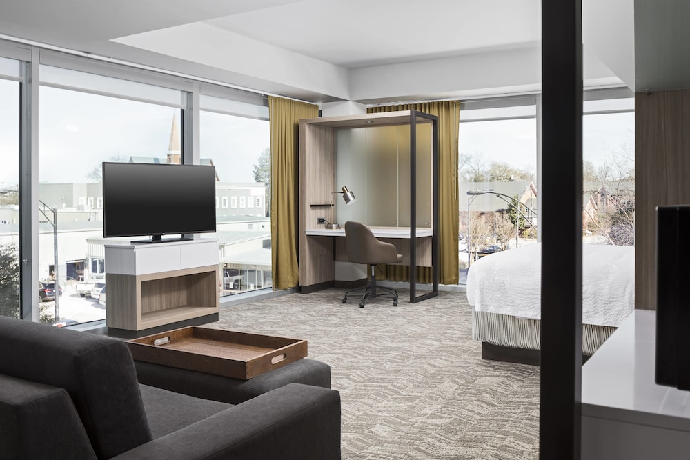 Springhill Suites By Marriott Downtown Greenville 41/63