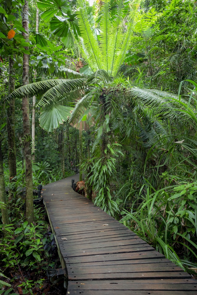 Daintree Wilderness Lodge 29/34