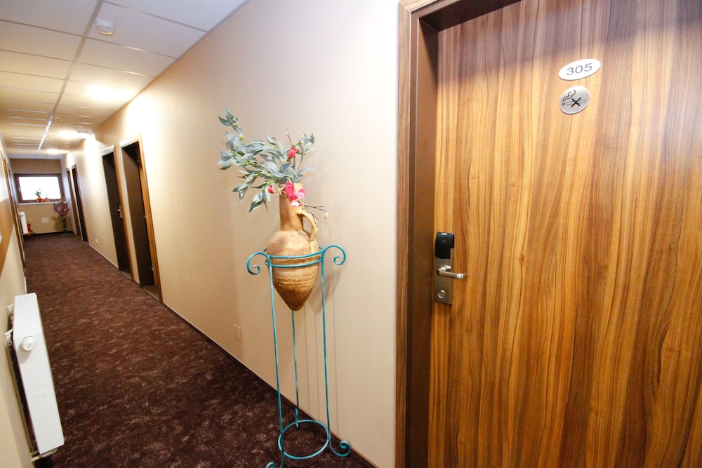Max Inn Hotel 22/50