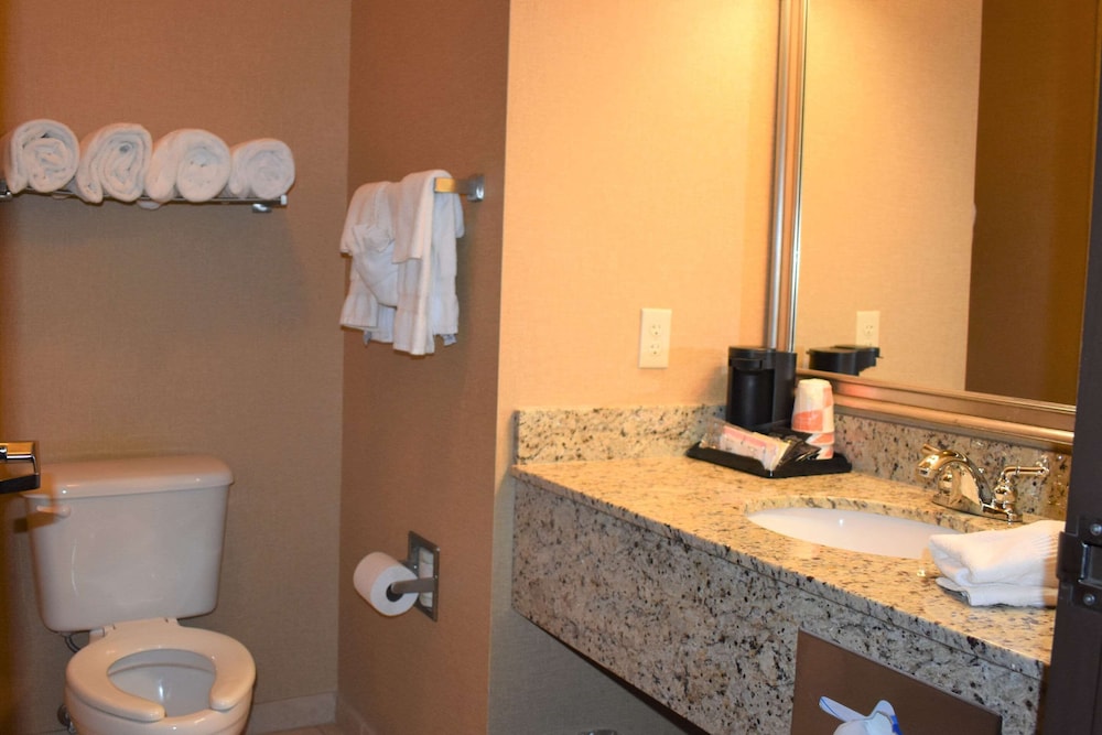 Comfort Inn & Suites Near Lake Guntersville 17/52