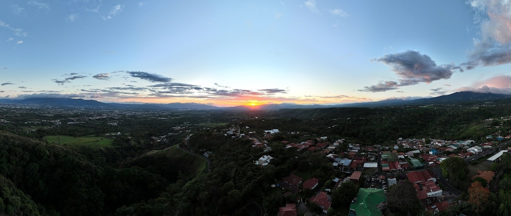 Buena Vista 47/50