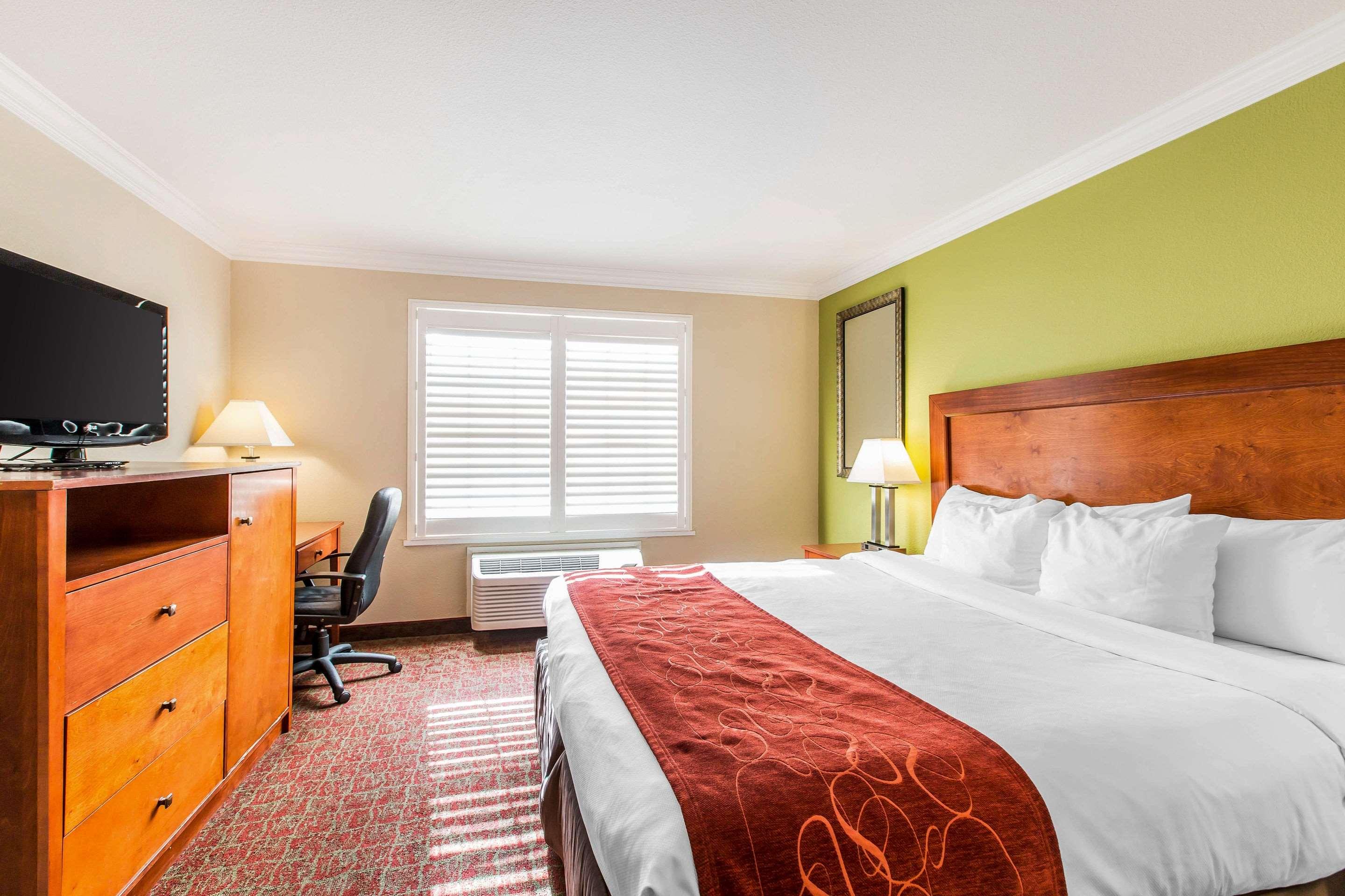 ROOM, KING BED