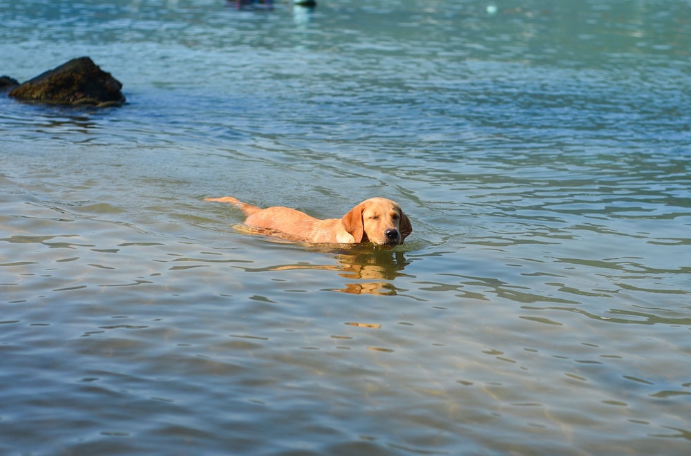 Bhuvarin Resort 67/70