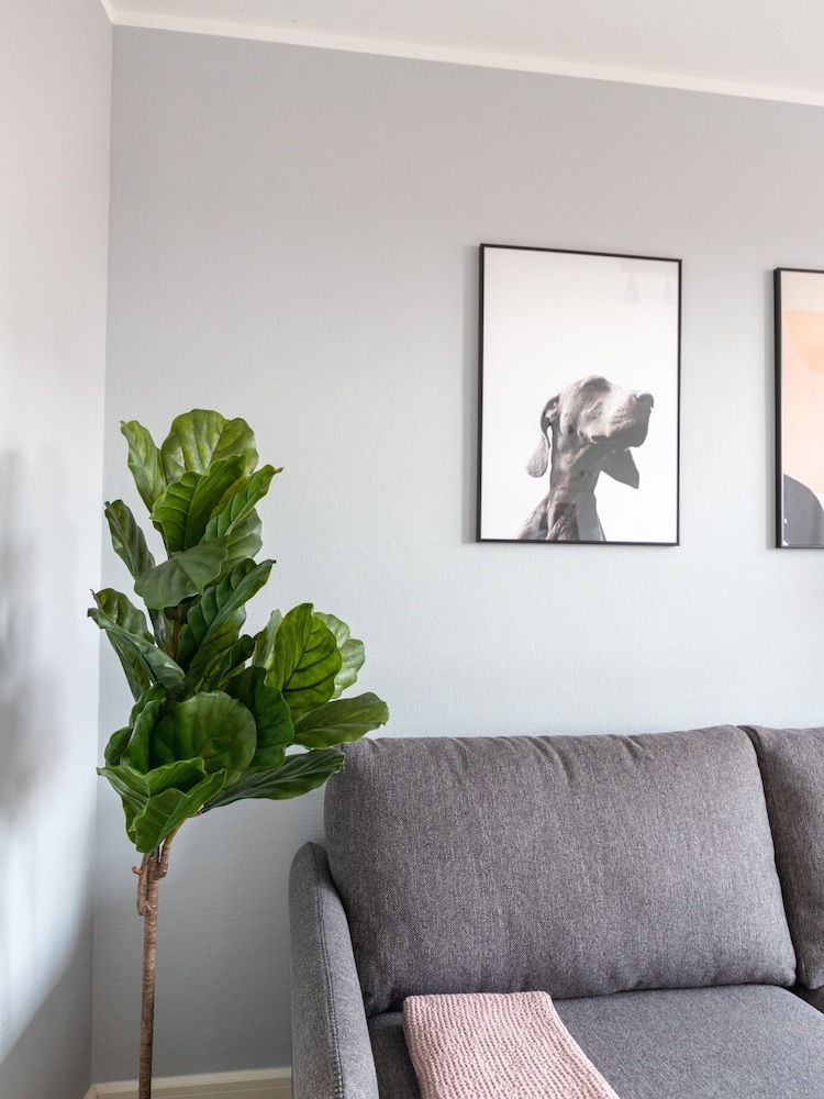 Flower's Boardinghouse Mitte 11/50