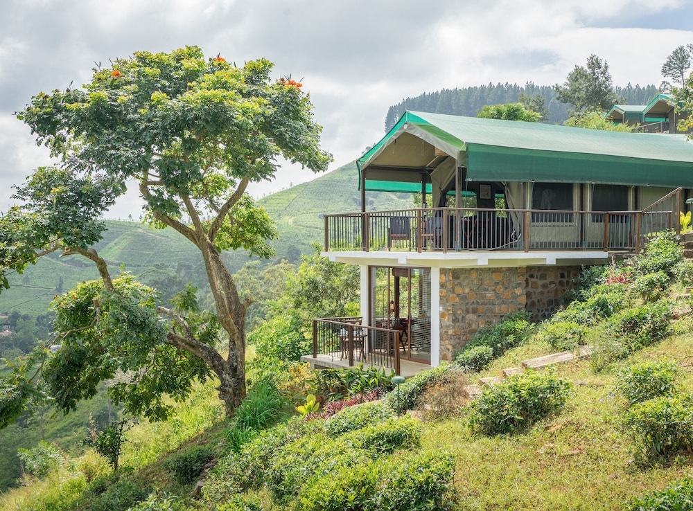 Madulkelle Tea And Eco Lodge 1/43
