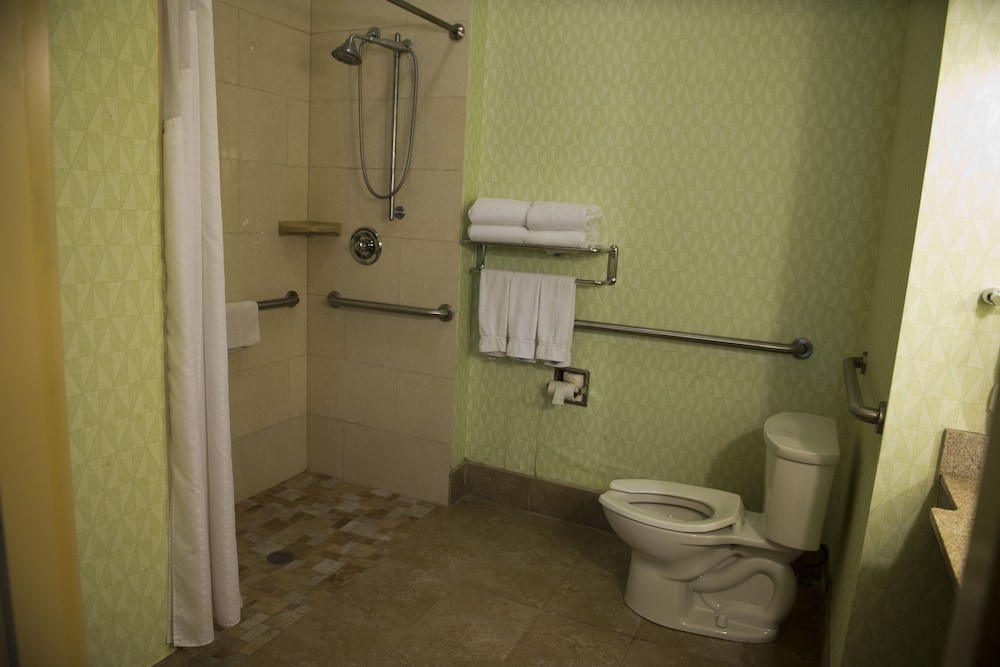 Holiday Inn Express Hotel Suites Atlanta East Lithonia 65/66