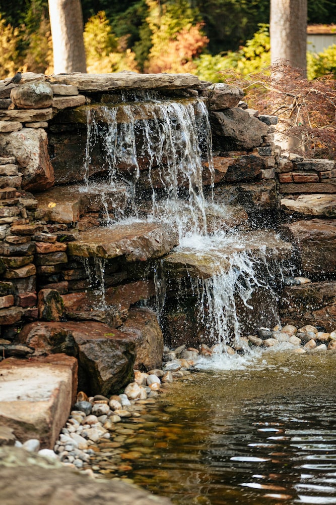 The Reserve at Hot Springs 25/50
