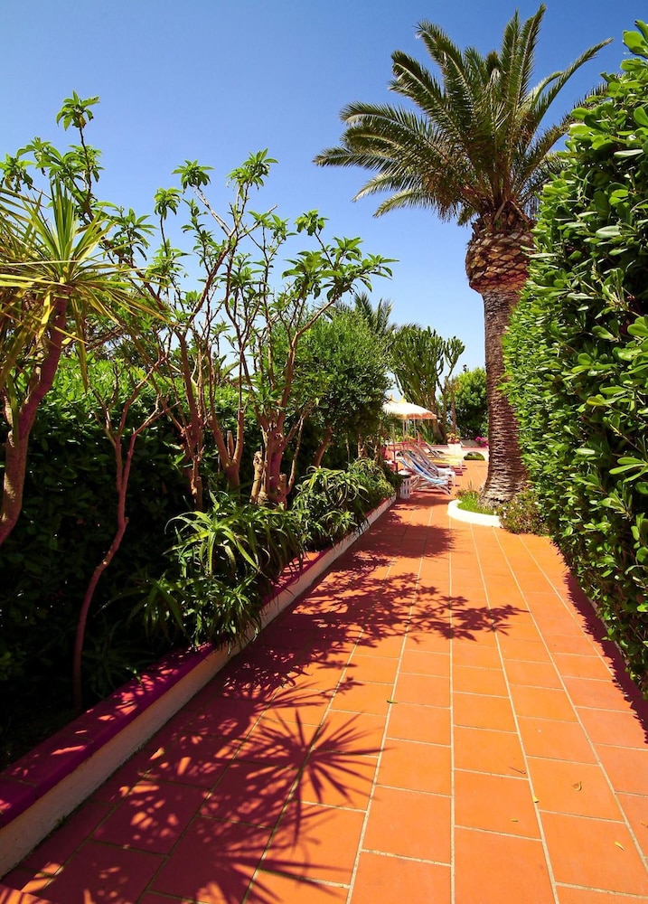 HOTEL PARK CALITTO 18/48