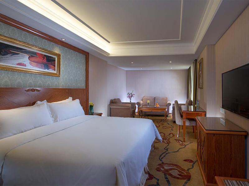 Vienna Hotel Shenzhen Mixc 6/12