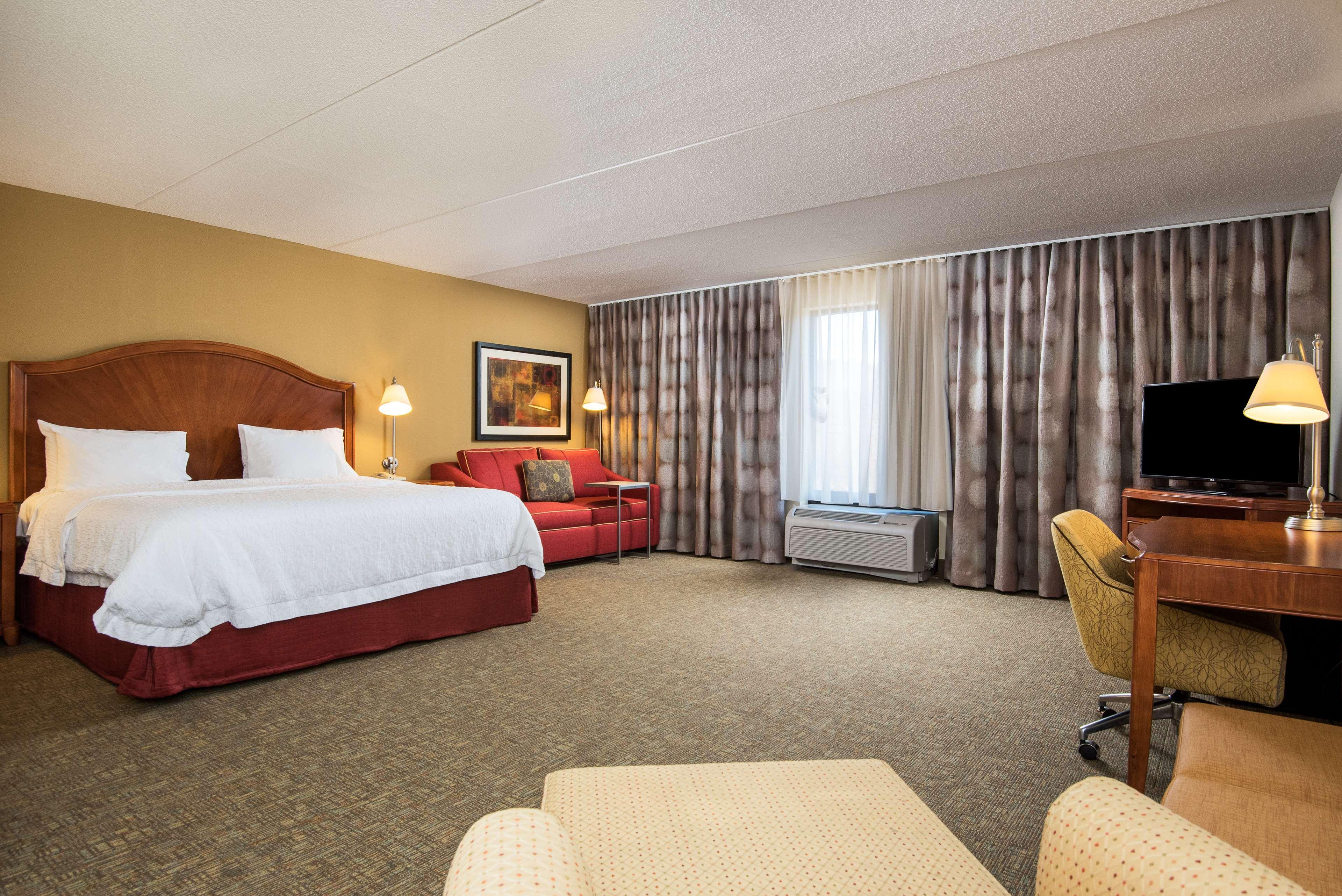 ROOM, KING BED, SOFA, LARGE