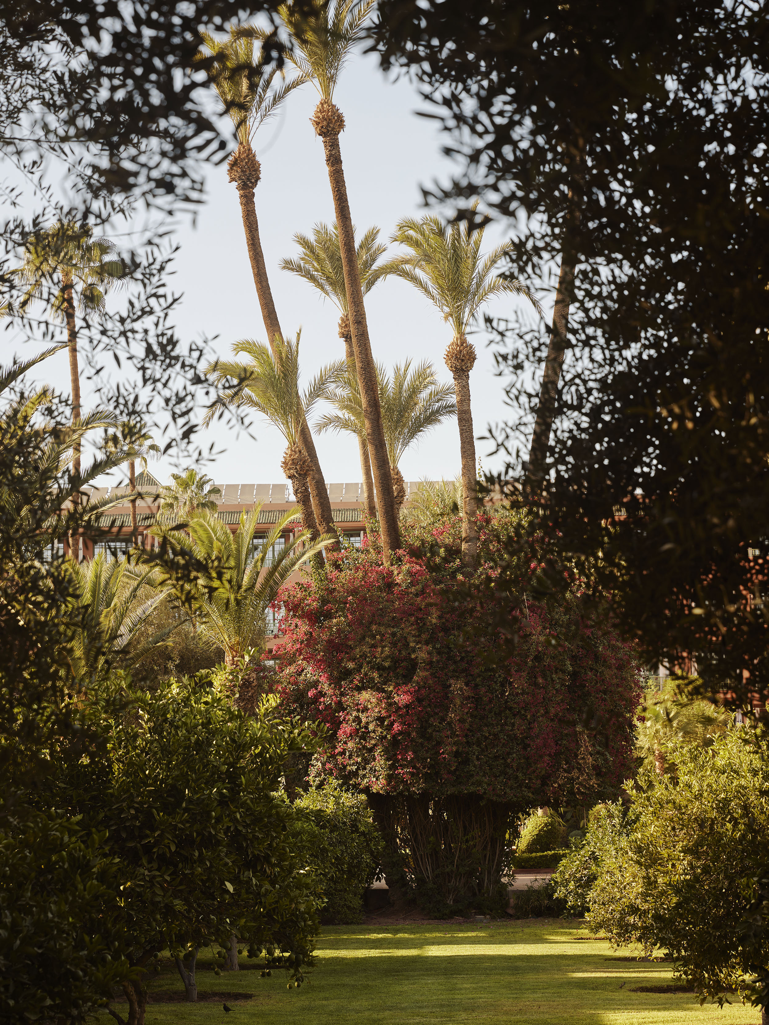 LA MAMOUNIA 71/78