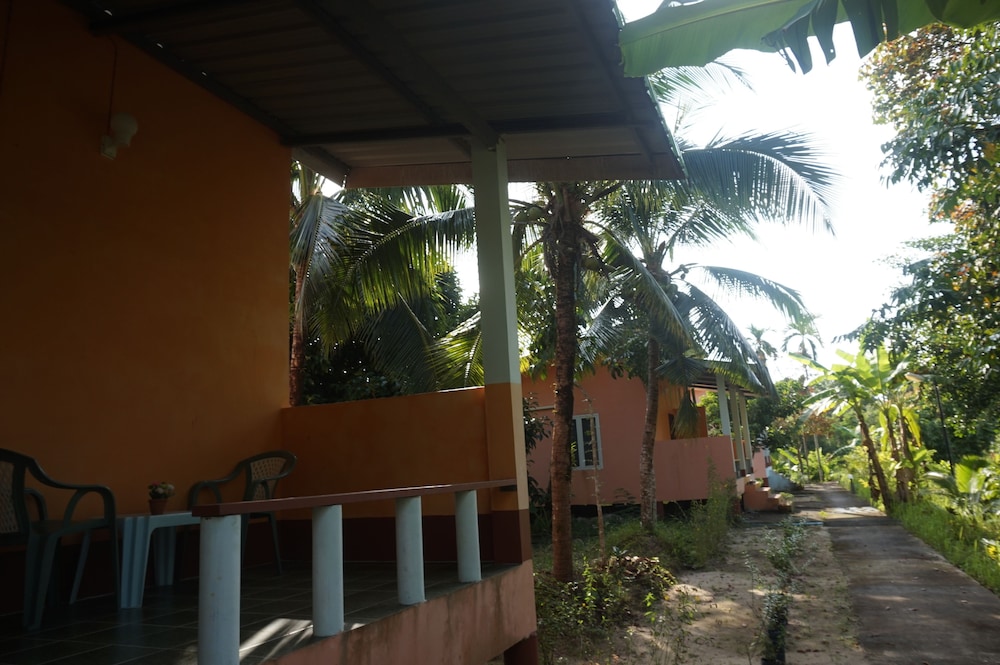 Bangsak Hut 3/18