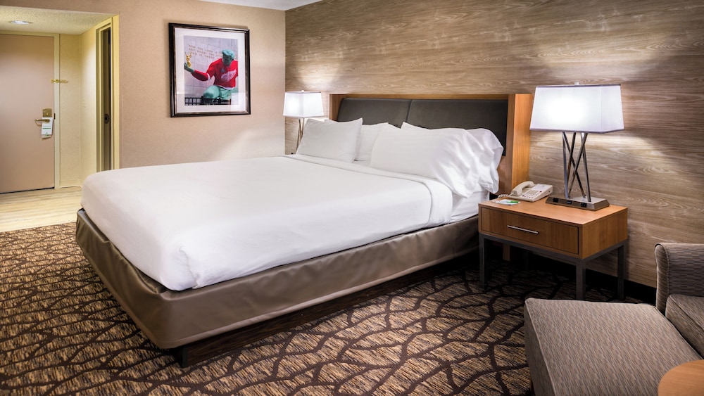 غرفة قياسية بسرير كينج، Holiday Inn Hotel Suites Warren 3/4