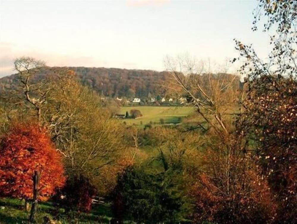 Tibbiwell Lodge - B&B 12/16