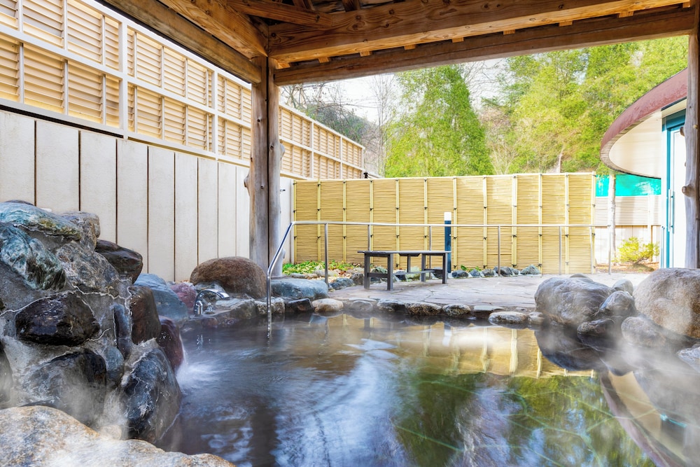 Asarigawa Onsen Hotel 10/19