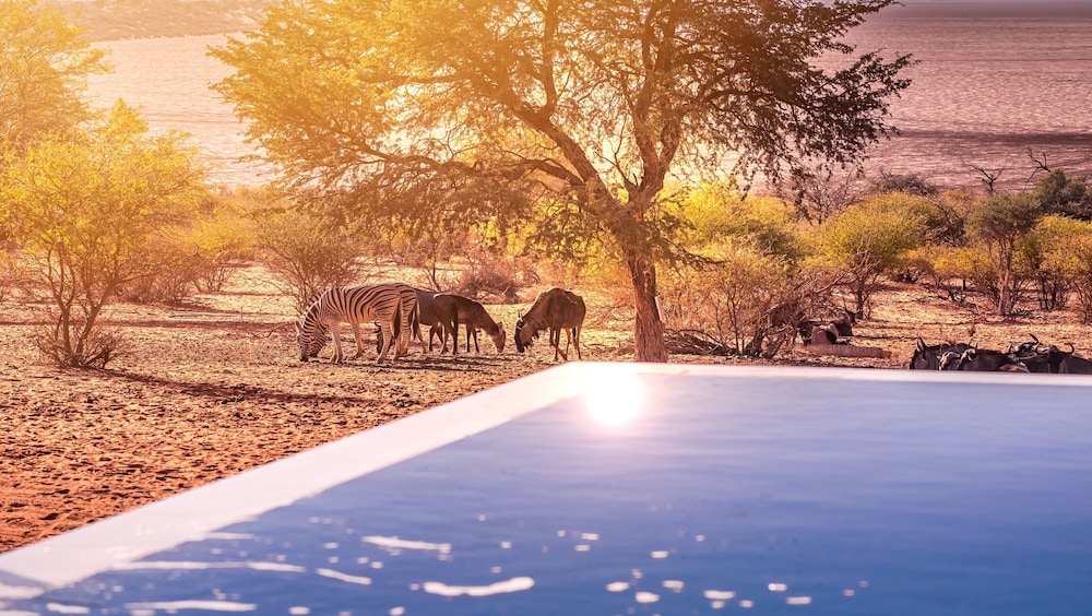 Bagatelle Kalahari Game Ranch 26/51