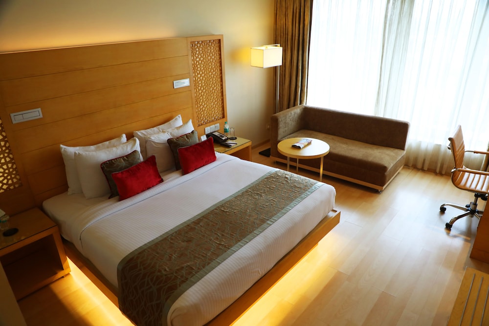 Hotel Sayaji Raipur 21/73