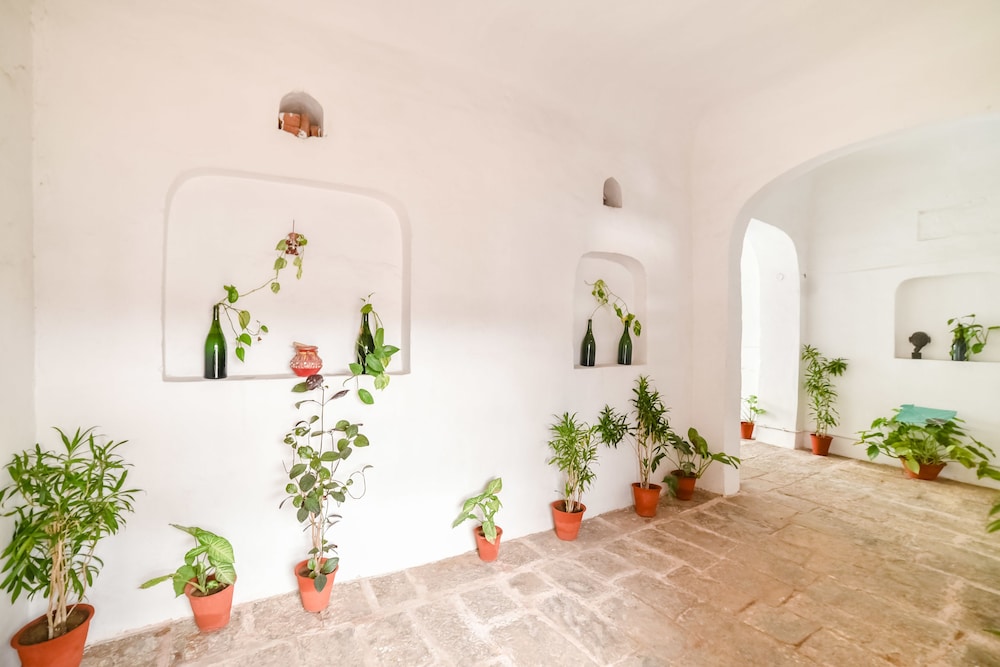 Hotel Saba Haveli 8/50