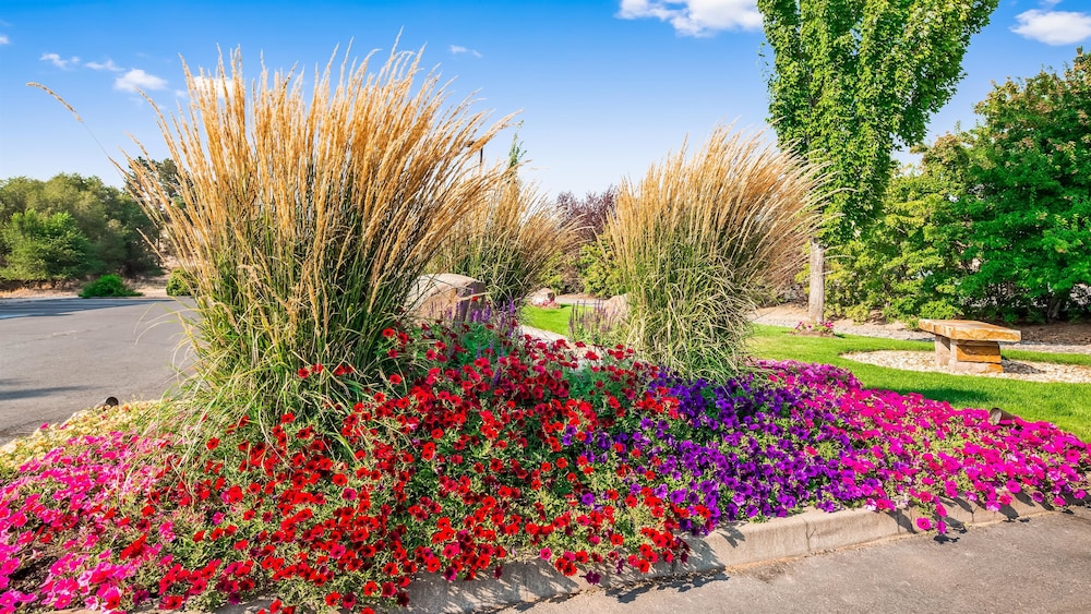 Best Western Prineville Inn 20/40