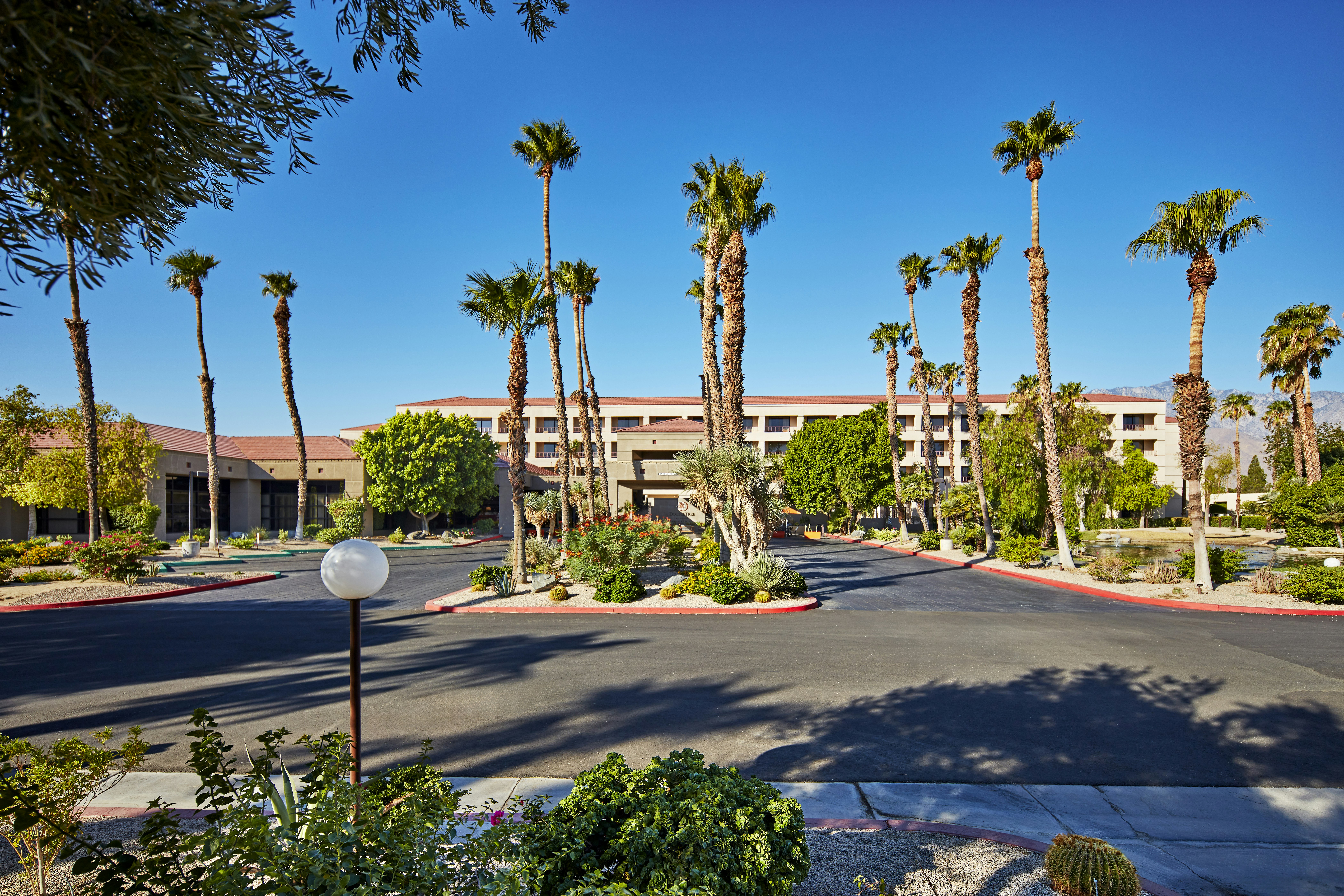 Doubletree By Hilton Golf Resort Palm Springs 66/81