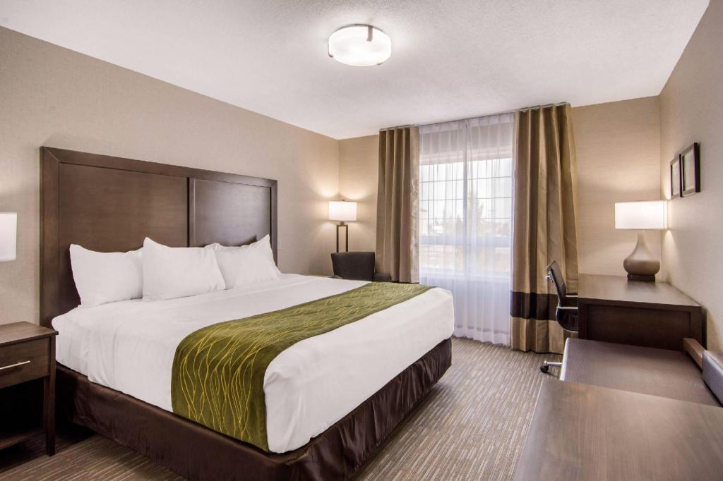 Upgrade, 2 King Beds, King and Queen Bed