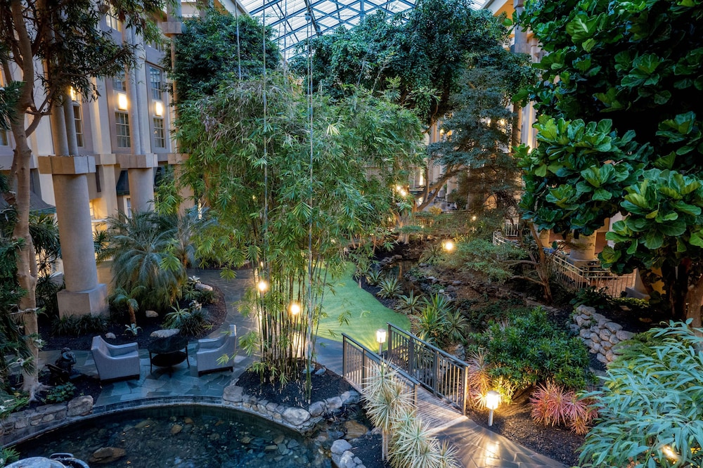 Hyatt Regency Greenwich 32/62