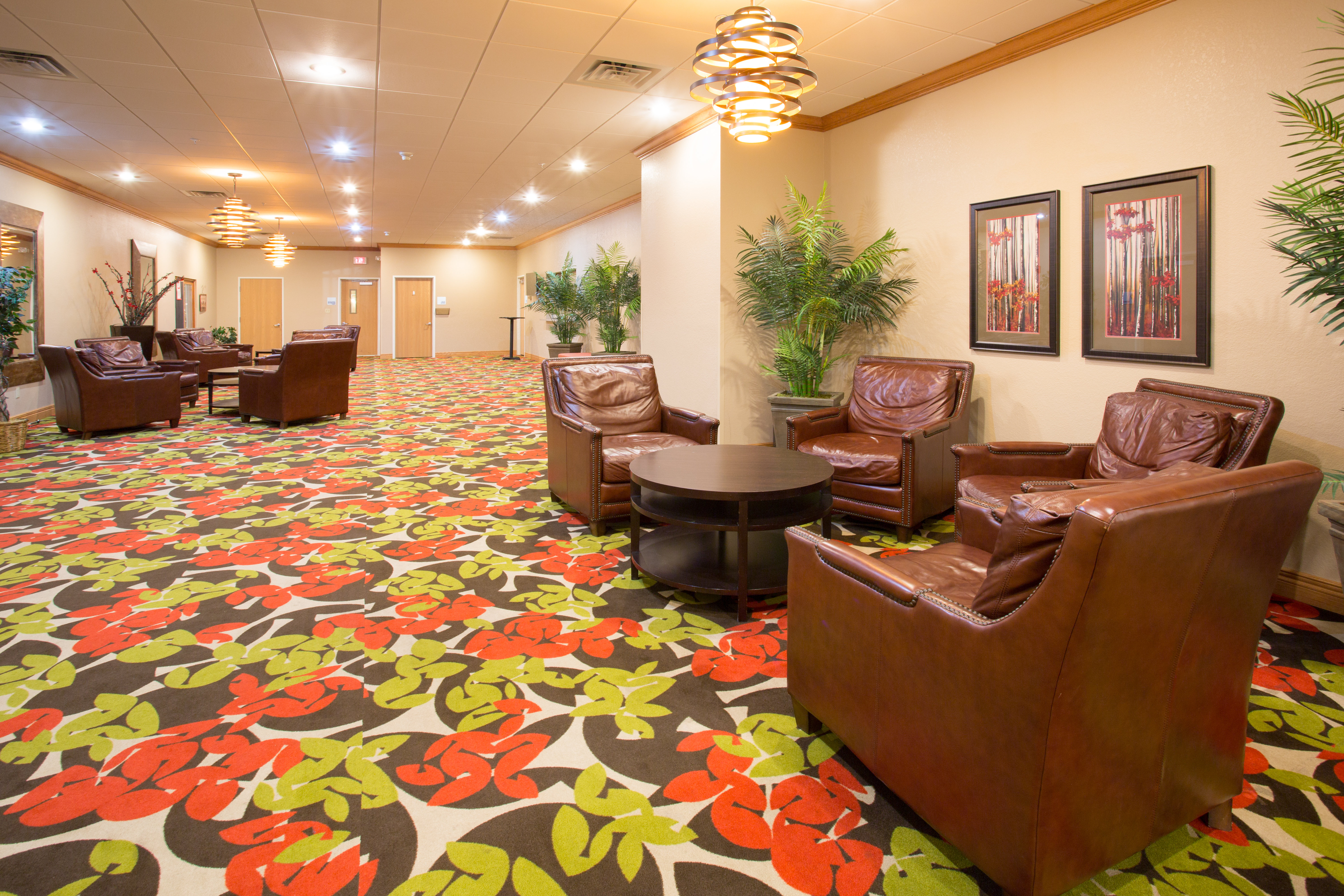 Best Western Plus Lexington 36/55