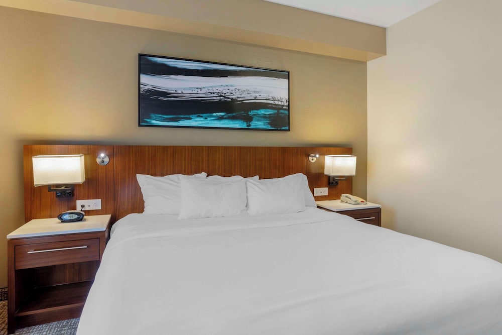 غرفة بسرير كينج، Comfort Suites Knoxville East 2/2