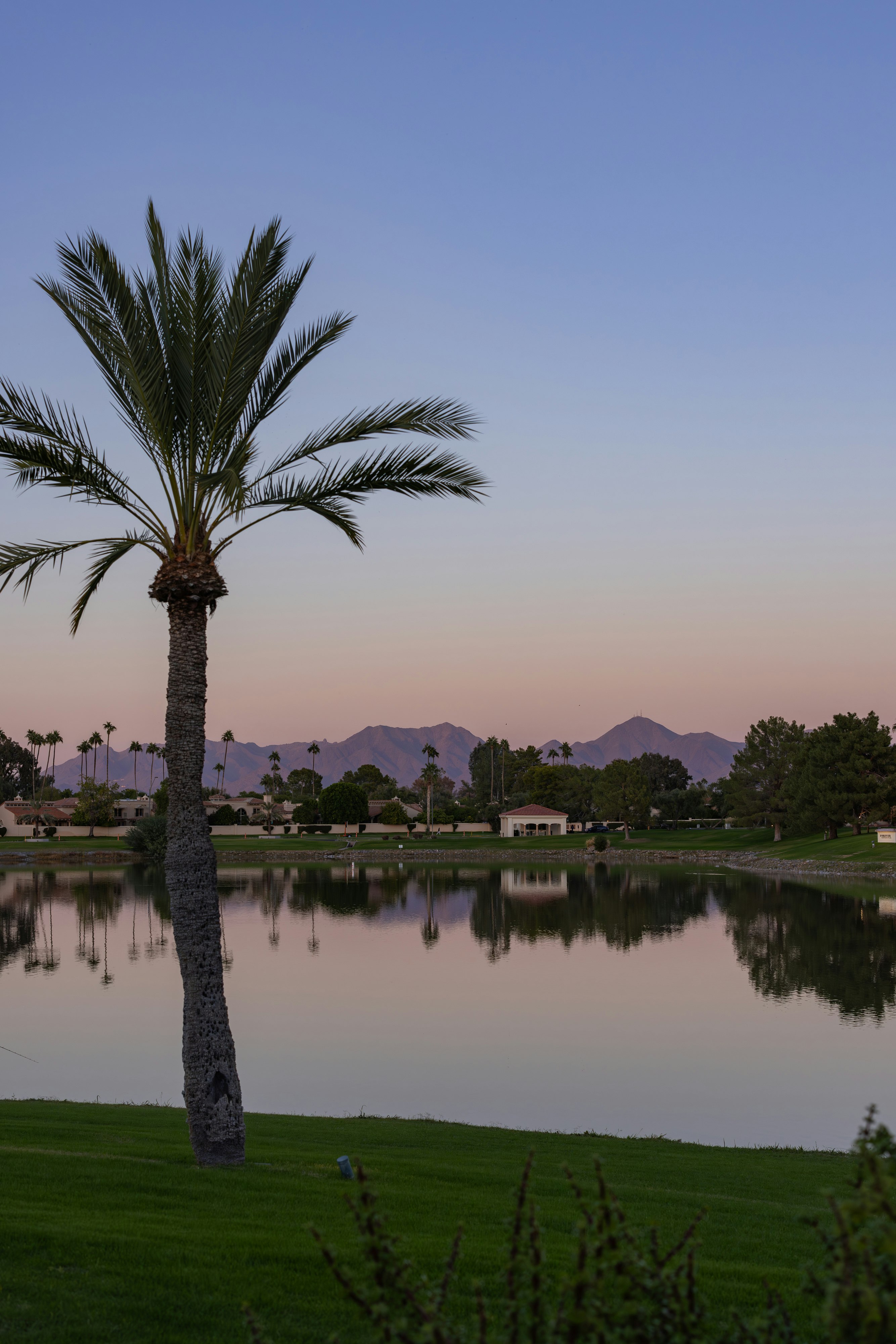 The McCormick Scottsdale 89/90