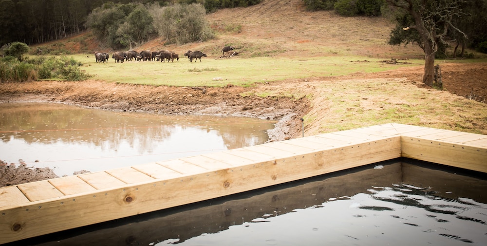Bush Villas Self-Catering At Botlierskop 37/50
