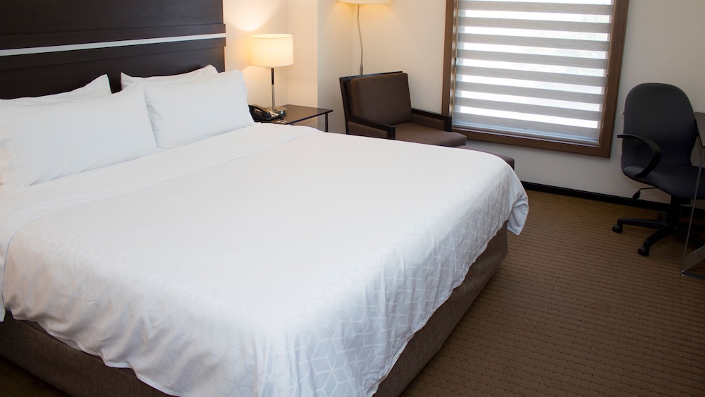 Specialty, Single Bed