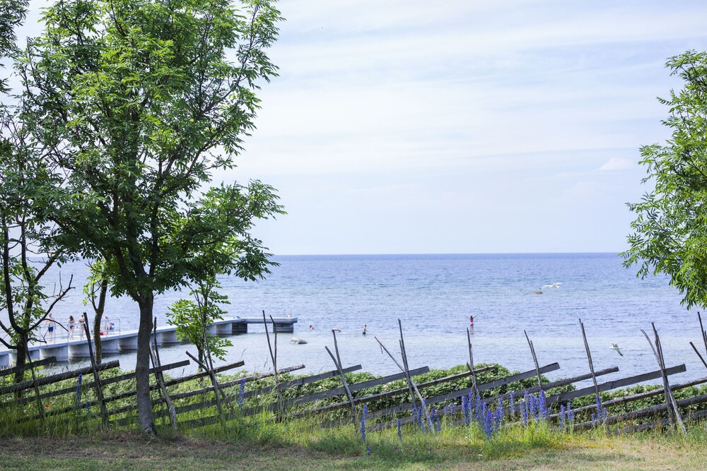 VISBY GUSTAVSVIK 41/50
