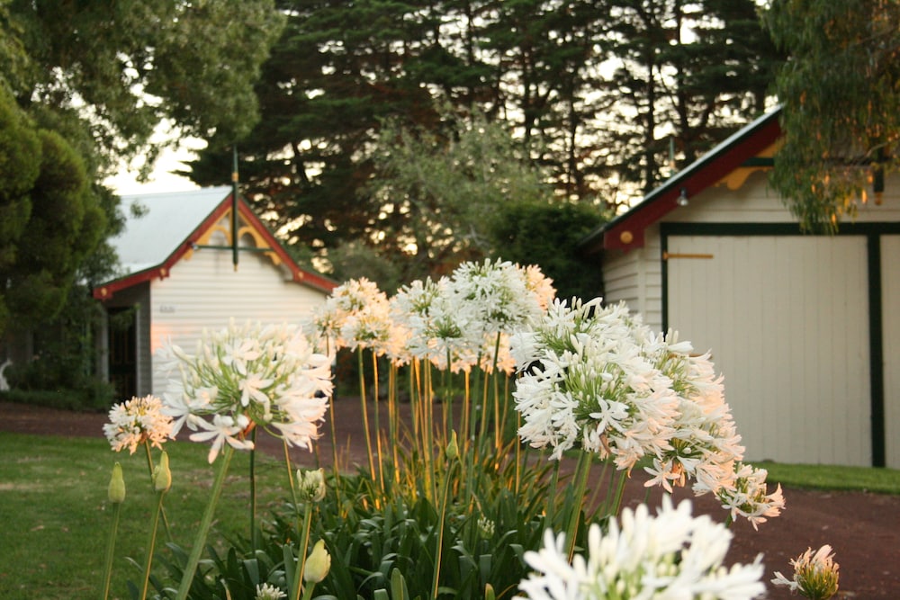 QUAMBY HOMESTEAD 37/42