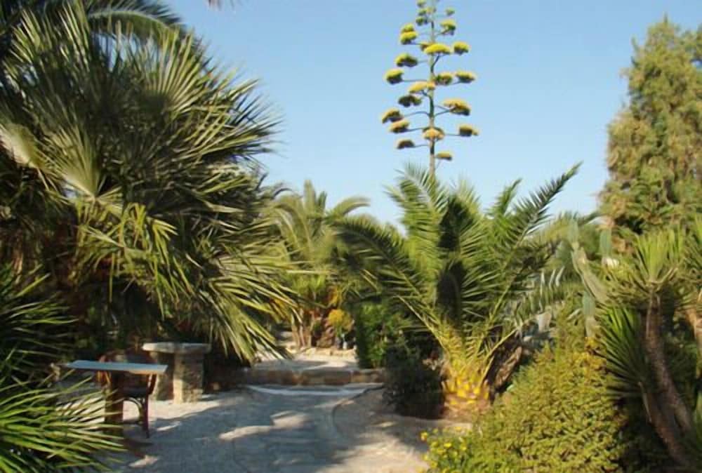 Medusa Beach Resort And Suites 59/69