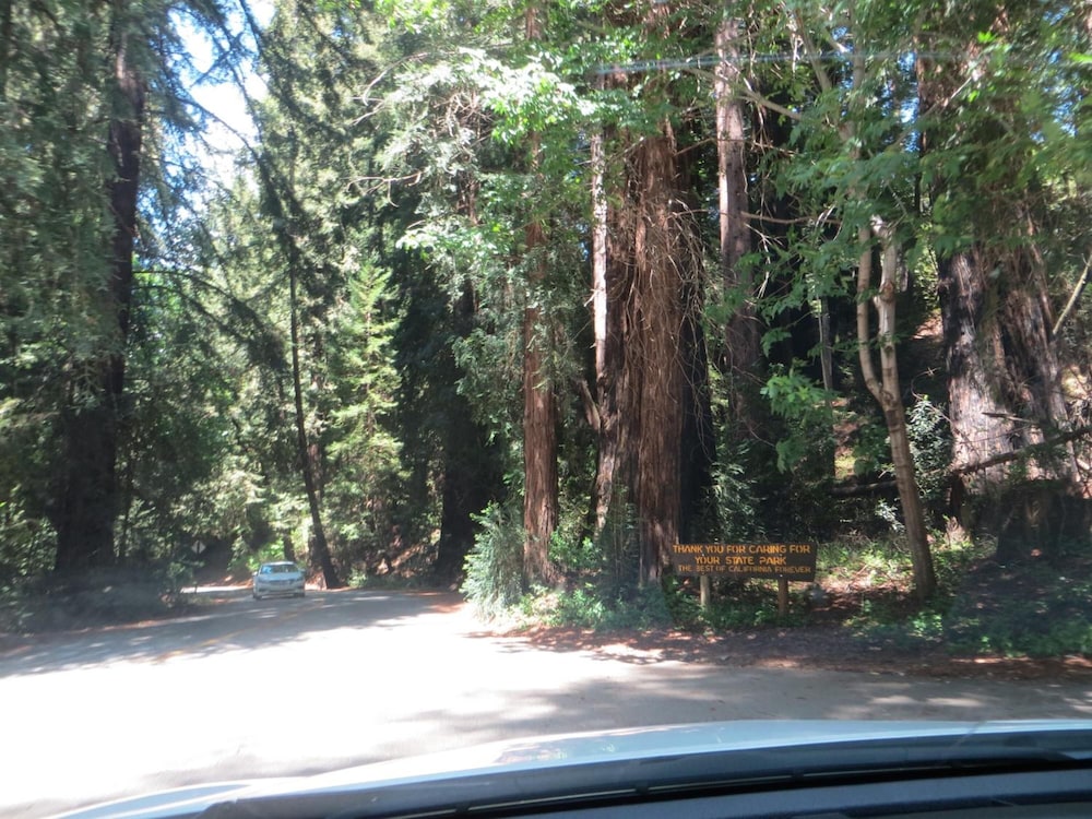 Big Sur Lodge 61/67