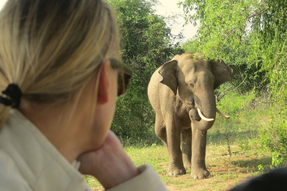 Mahoora Tented Safari Camp - Yala 19/50